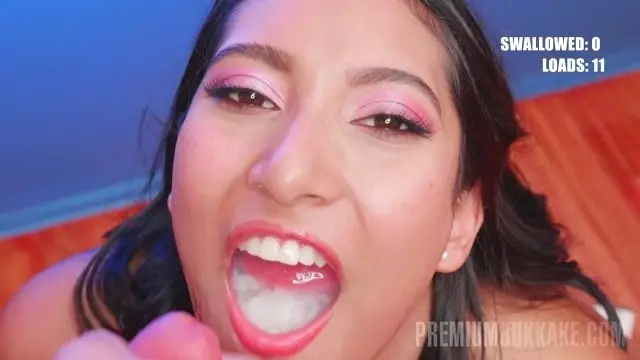 PB 210 Pris Angel 69 Ejacs